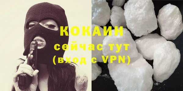 гашик Аркадак
