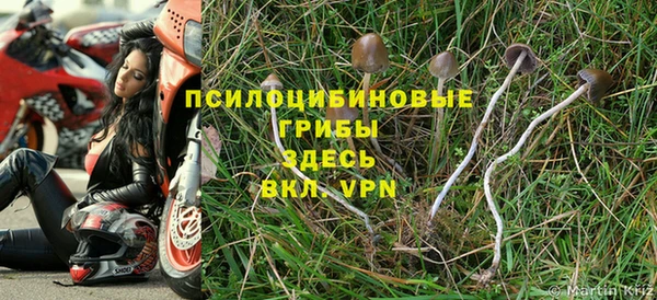гашик Аркадак