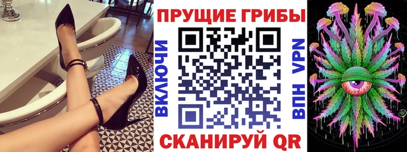 Галлюциногенные грибы GOLDEN TEACHER  shop какой сайт  Сельцо  где найти наркотики 